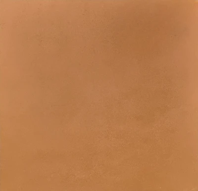 Energieker Res Terra Bruin Mat 60x60